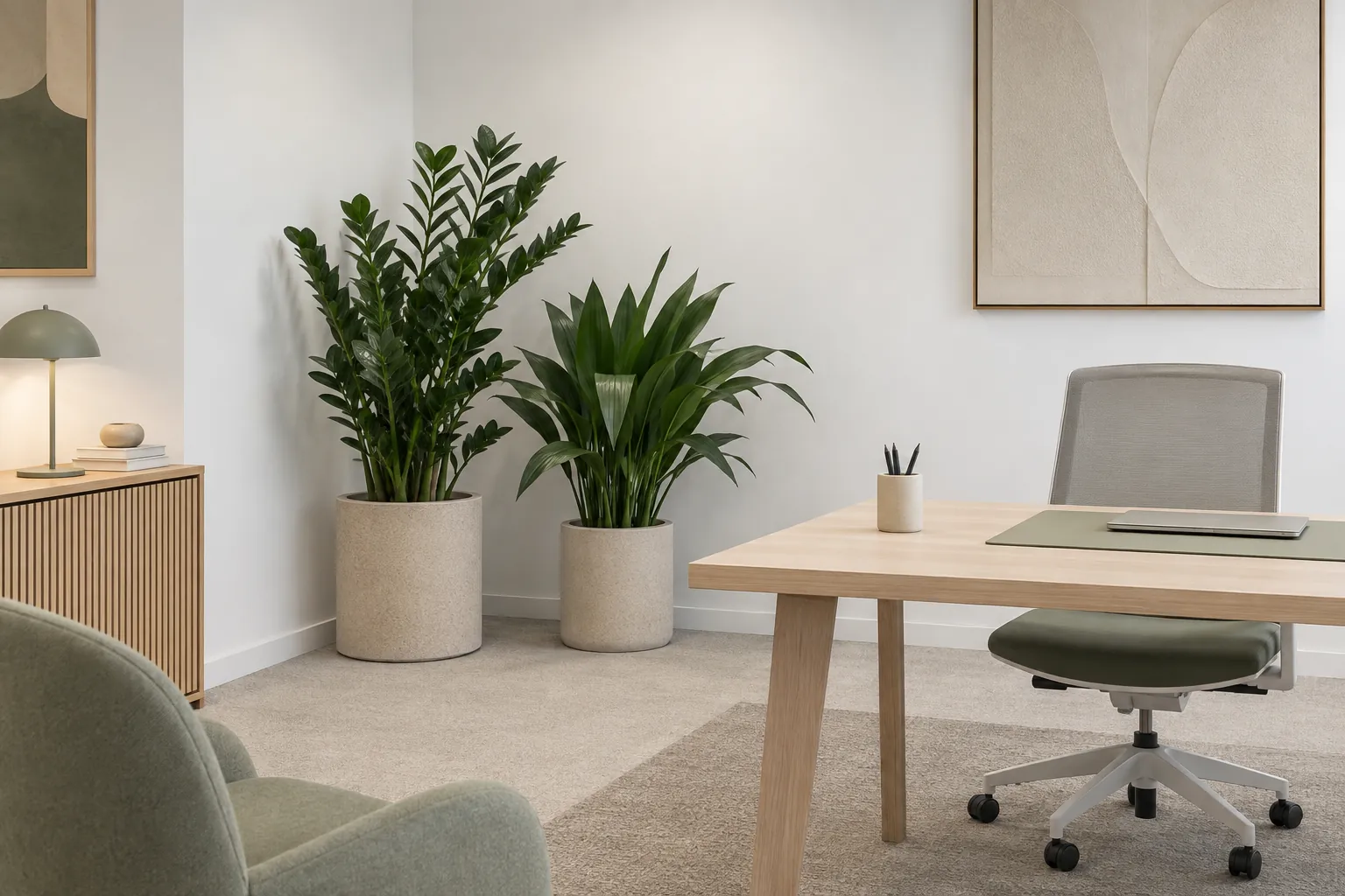Zamioculcas et aspidistra en bacs clairs dans un bureau peu lumineux éclairé par des plafonniers