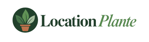 Location Plante